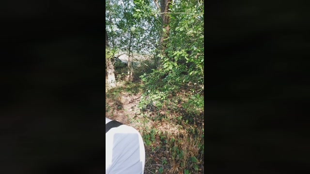 Zeus__xXx  29-08-2022
